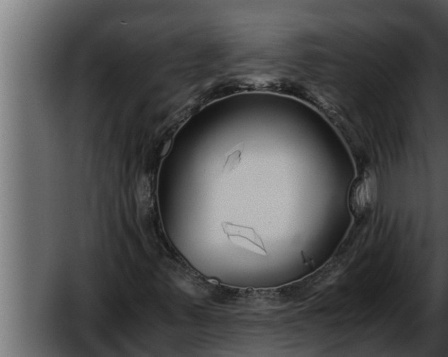 X0000052601347200507160000