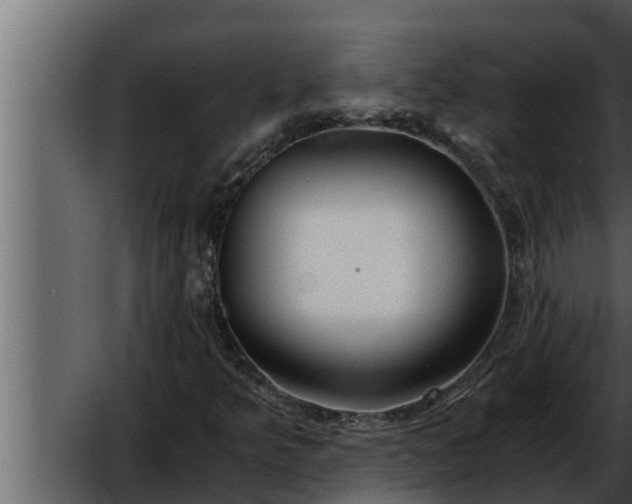 X0000052601349200507160000