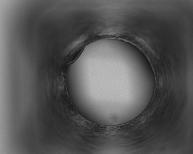 X0000052601350200507160000