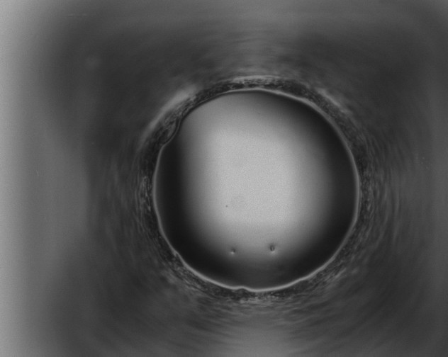 X0000052601351200507160000