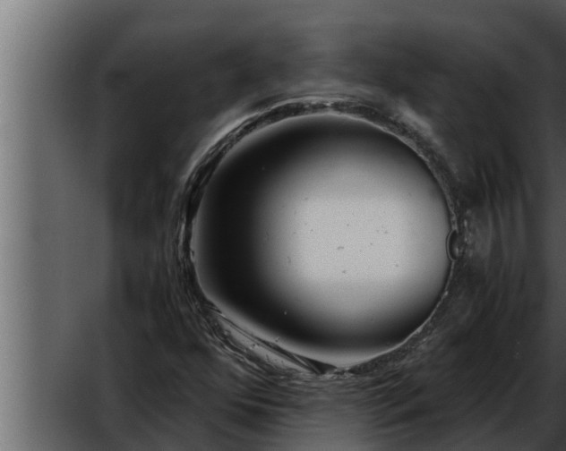 X0000052601352200507160000