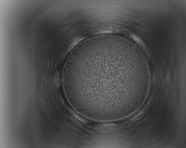 X0000052601353200507160000