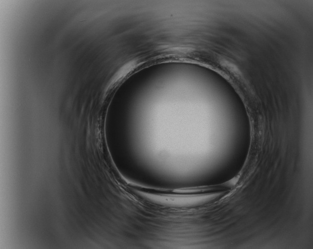 X0000052601354200507160000