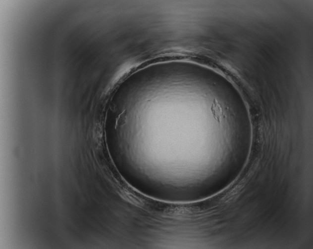 X0000052601355200507160000