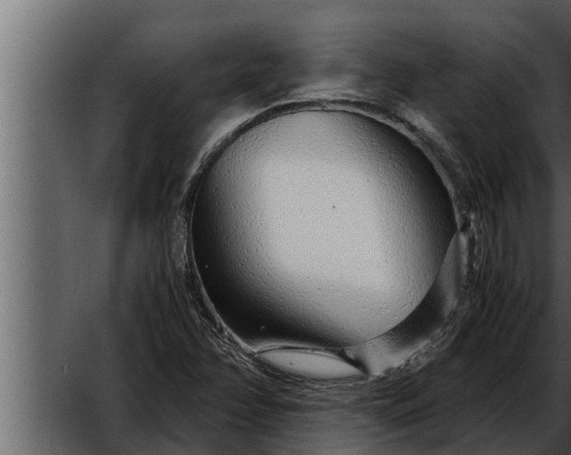 X0000052601358200507160000