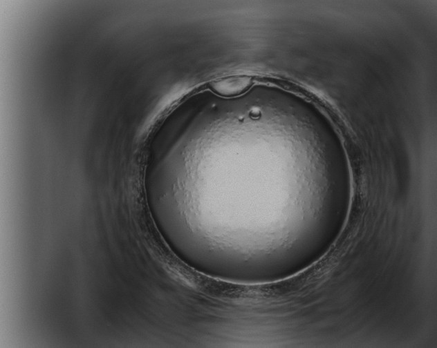 X0000052601359200507160000