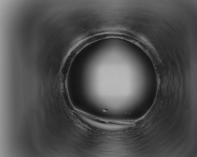 X0000052601360200507160000