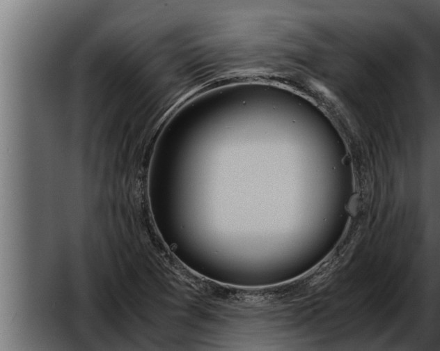 X0000052601361200507160000