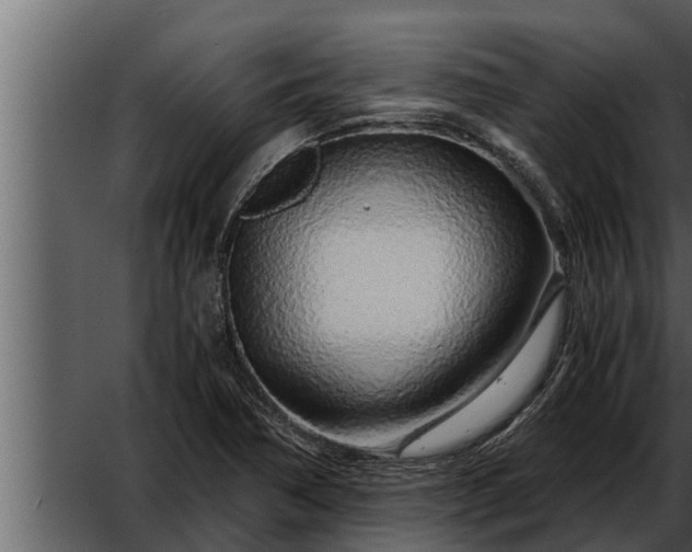 X0000052601362200507160000