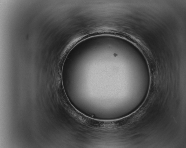 X0000052601363200507160000