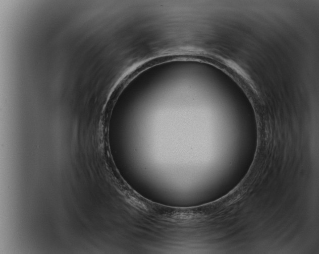 X0000052601364200507160000