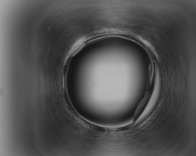 X0000052601365200507160000