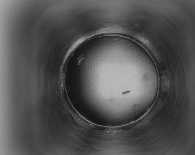 X0000052601366200507160000