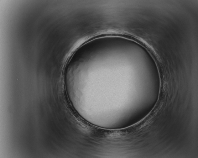 X0000052601367200507160000