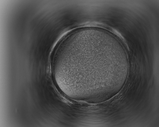 X0000052601368200507160000