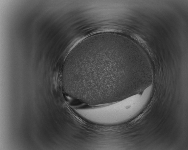 X0000052601369200507160000