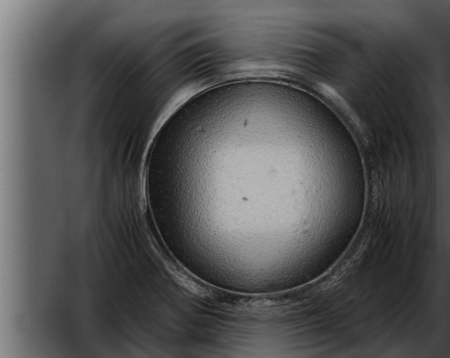 X0000052601370200507160000