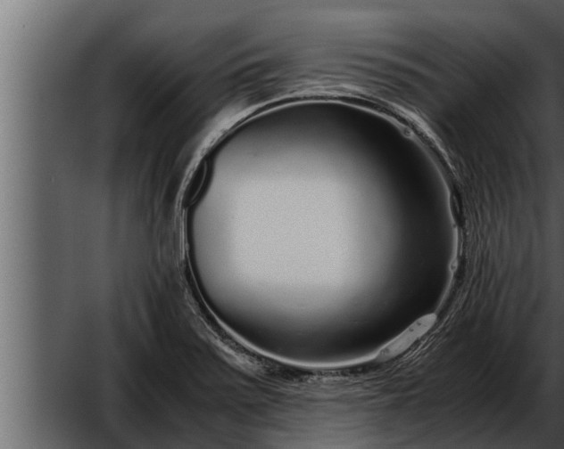 X0000052601371200507160000