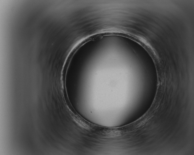 X0000052601372200507160000