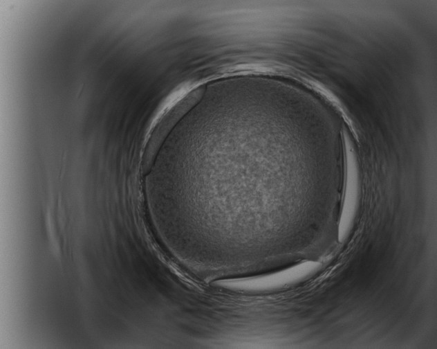 X0000052601373200507160000