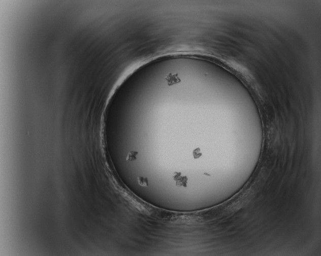 X0000052601374200507160000