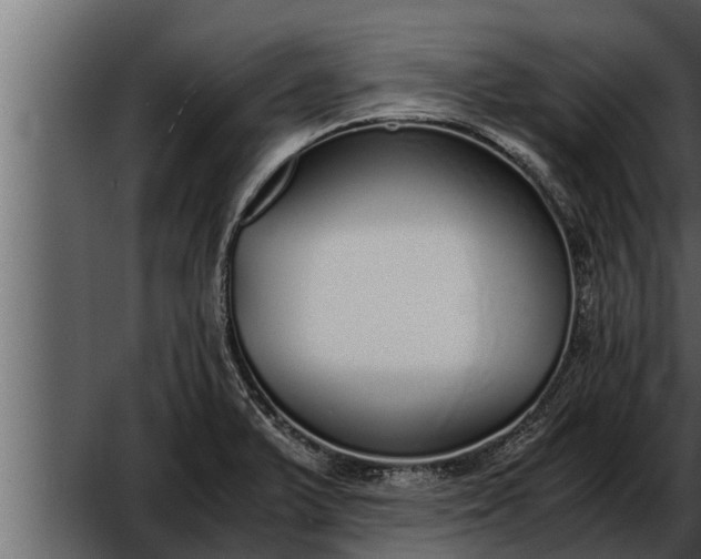 X0000052601375200507160000