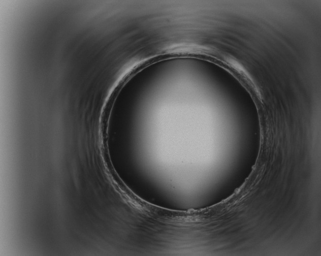 X0000052601376200507160000