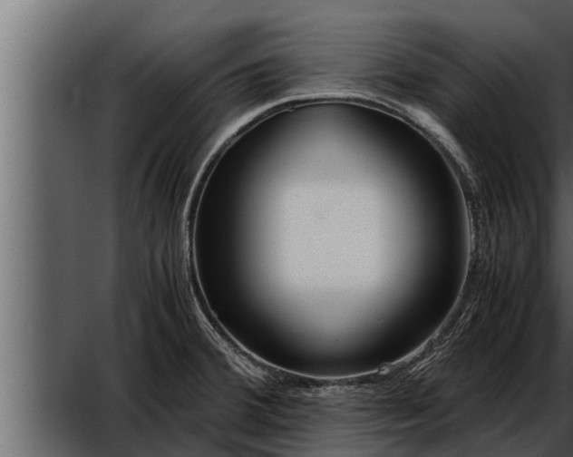 X0000052601380200507152359