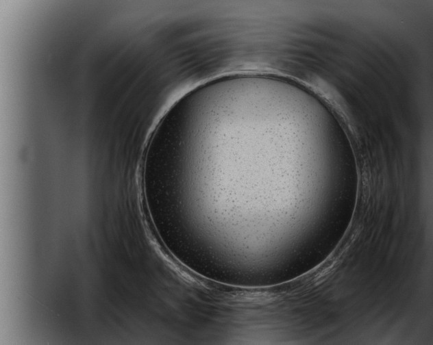 X0000052601382200507152359