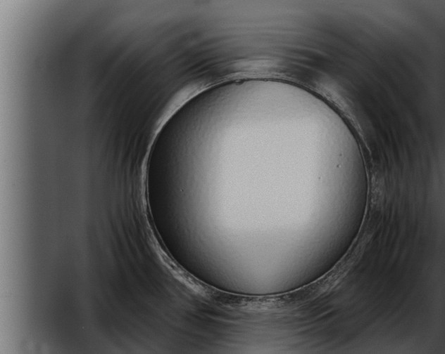 X0000052601386200507152359