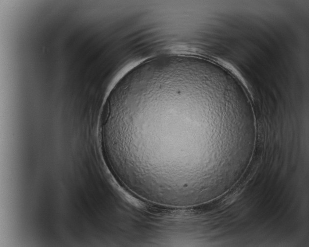 X0000052601387200507152359
