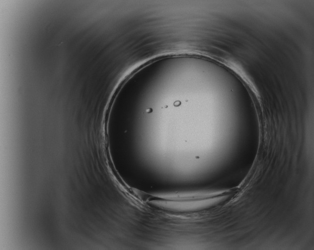 X0000052601388200507152359