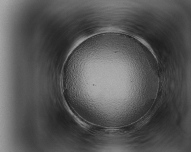 X0000052601391200507152359