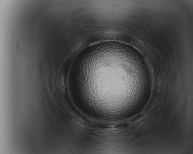 X0000052601394200507152358
