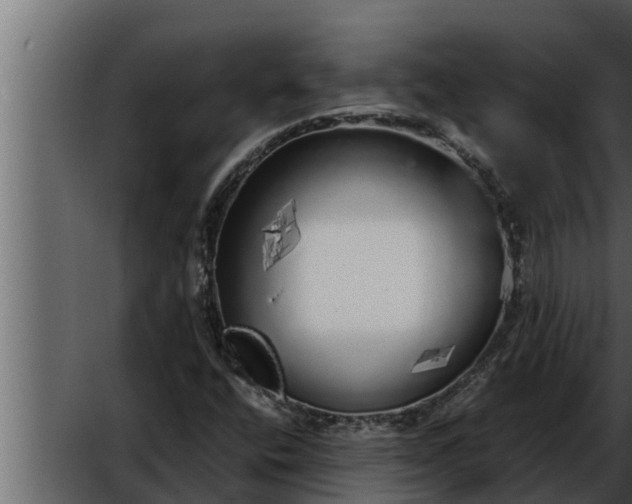 X0000052601400200507152359