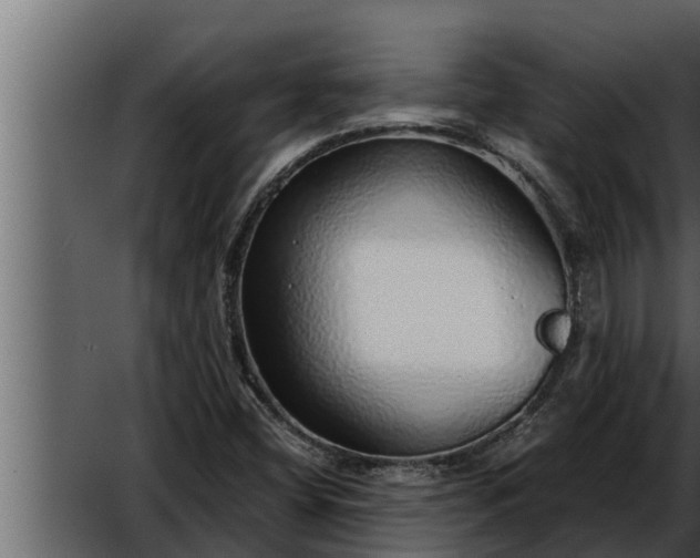 X0000052601404200507152359