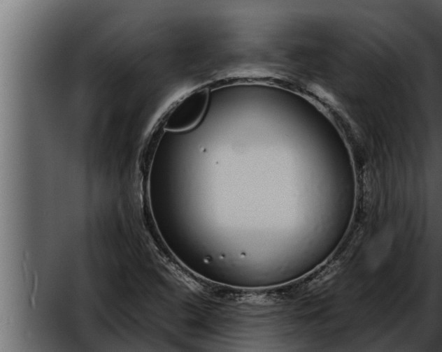 X0000052601408200507152359