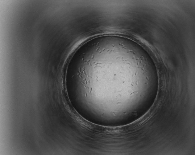 X0000052601415200507152359