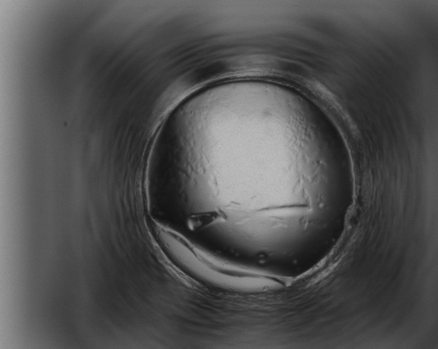 X0000052601417200507152359