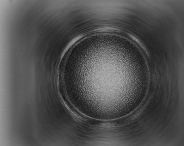 X0000052601418200507152359