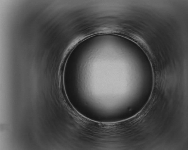 X0000052601419200507152359