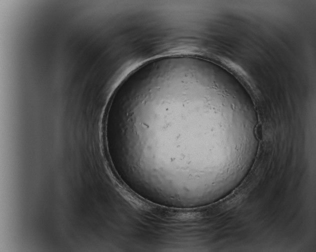 X0000052601423200507152359