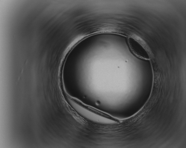 X0000052601427200507152359