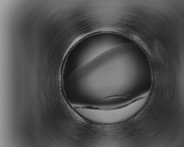X0000052601428200507152359