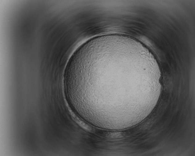 X0000052601431200507152359