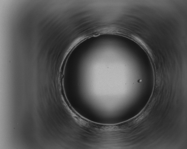 X0000052601434200507152359