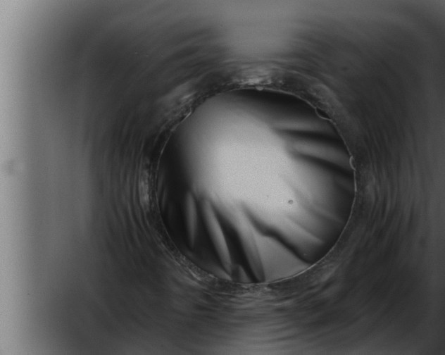 X0000052601442200507152358