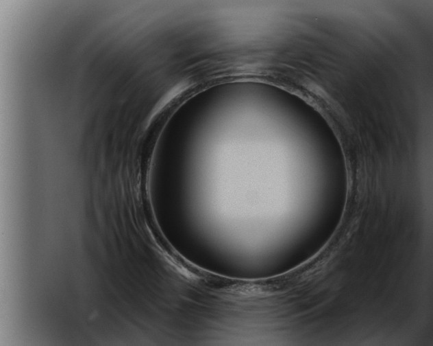X0000052601450200507152358