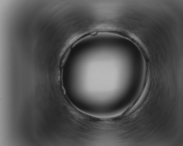 X0000052601461200507152358