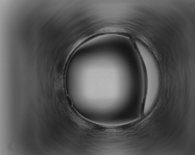 X0000052601465200507152358